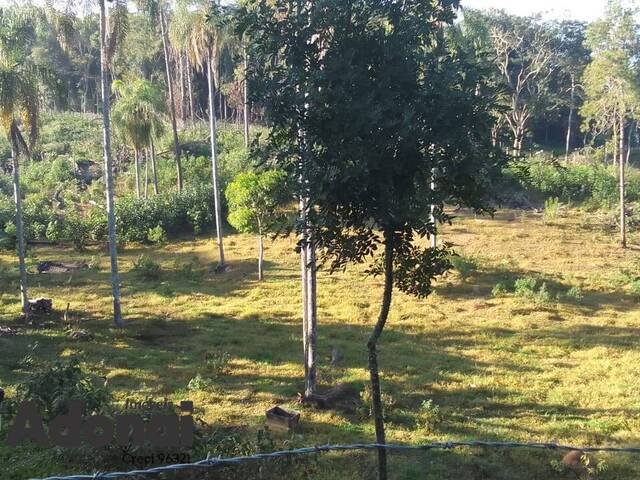 Sítio para Venda em Jarinu - 4