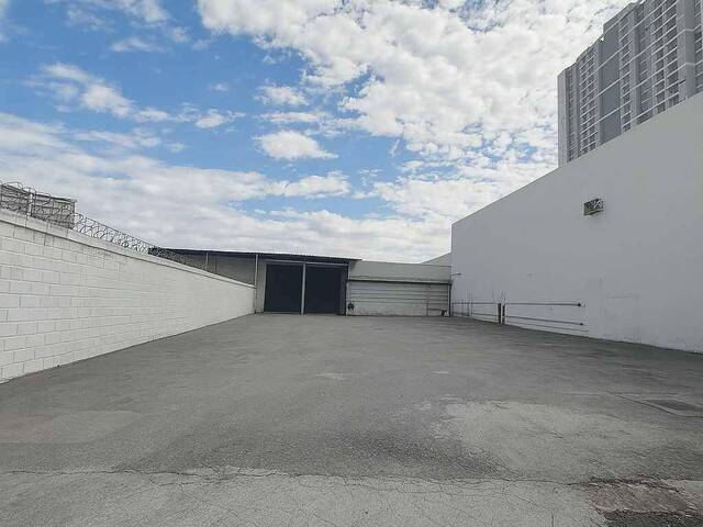 Galpão para Locação em São Paulo - 4