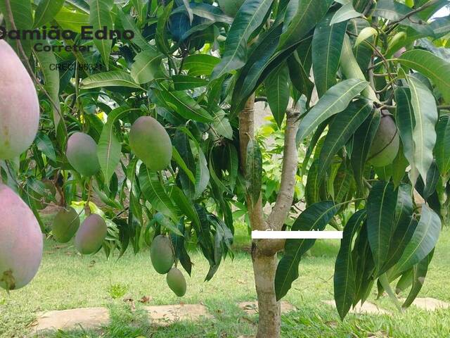 #2214 - Chácara para Venda em Jarinu - SP - 3