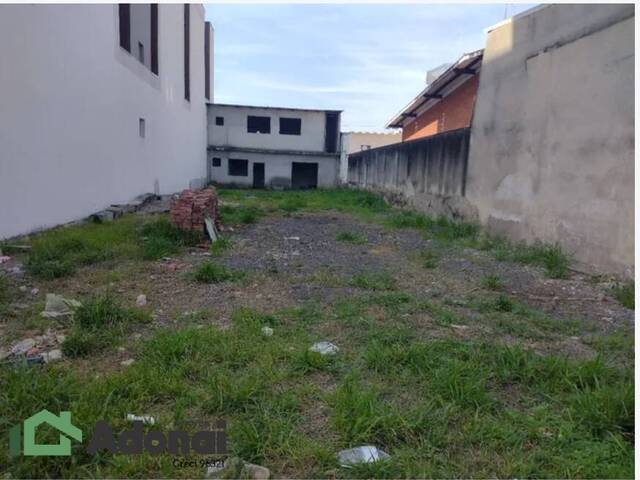 #2030 - Terreno para Venda em São Paulo - SP - 3