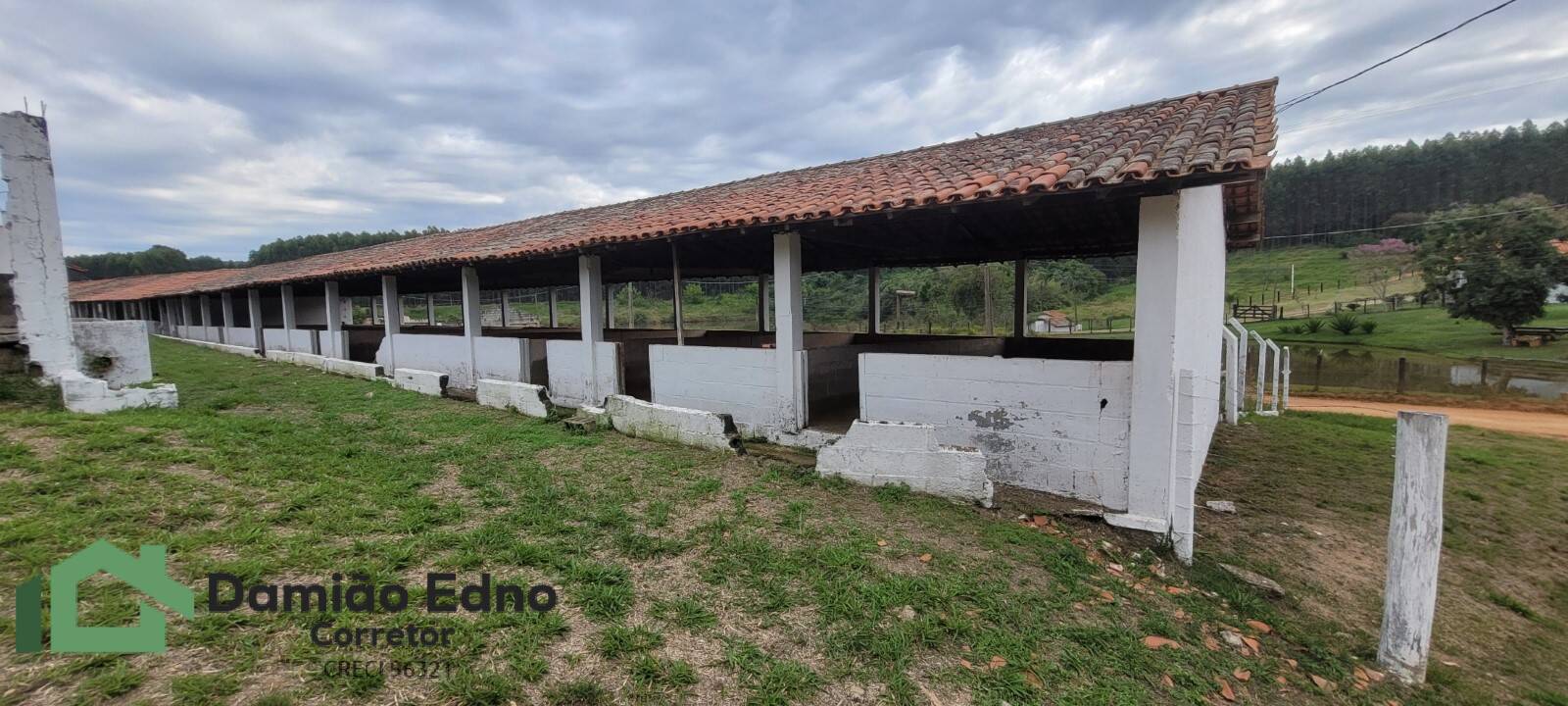 Chácara, 4 quartos, 2 hectares - Foto 7