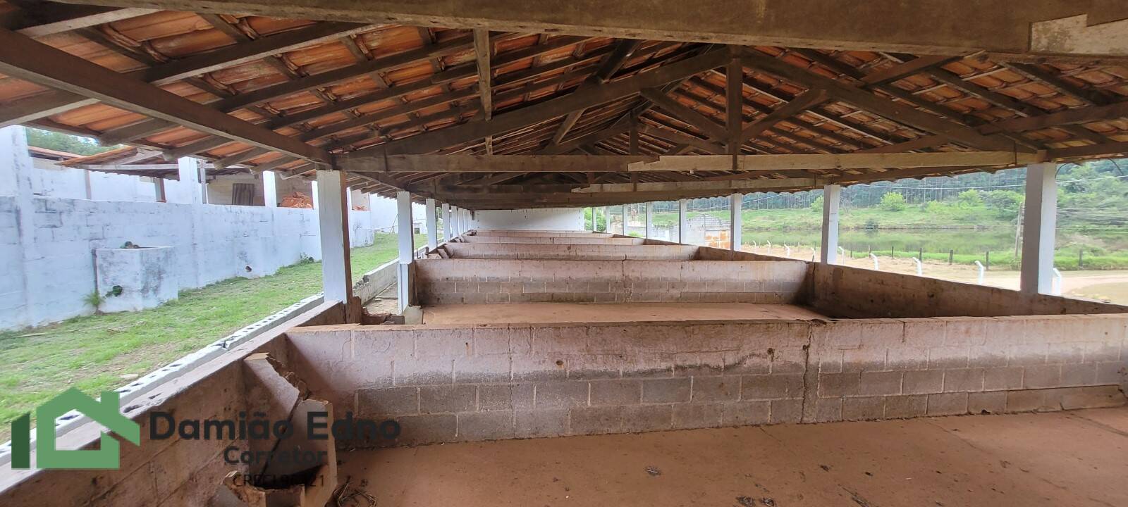 Chácara, 4 quartos, 2 hectares - Foto 12