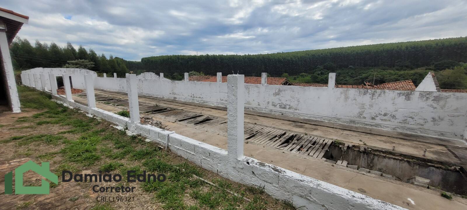 Chácara, 4 quartos, 2 hectares - Foto 19