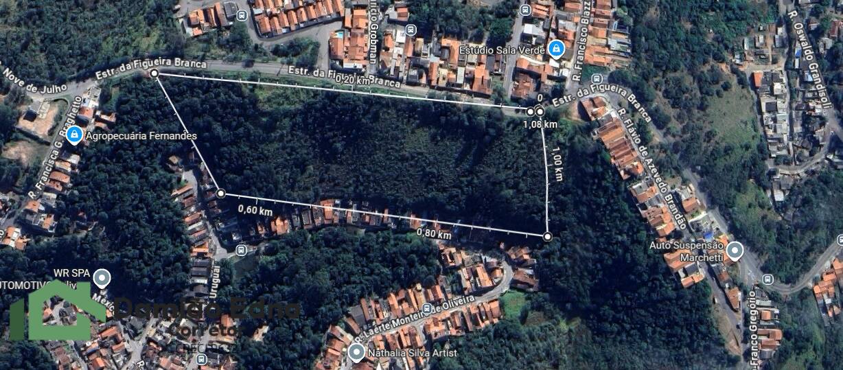 Prédio Inteiro - Foto 5