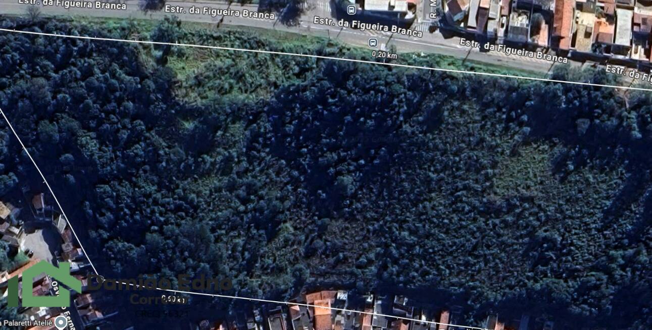 Prédio Inteiro - Foto 6