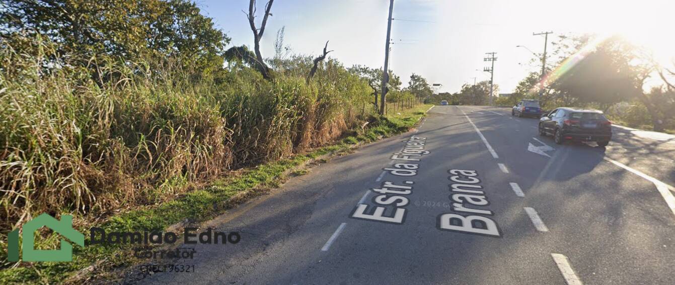 Prédio Inteiro - Foto 10