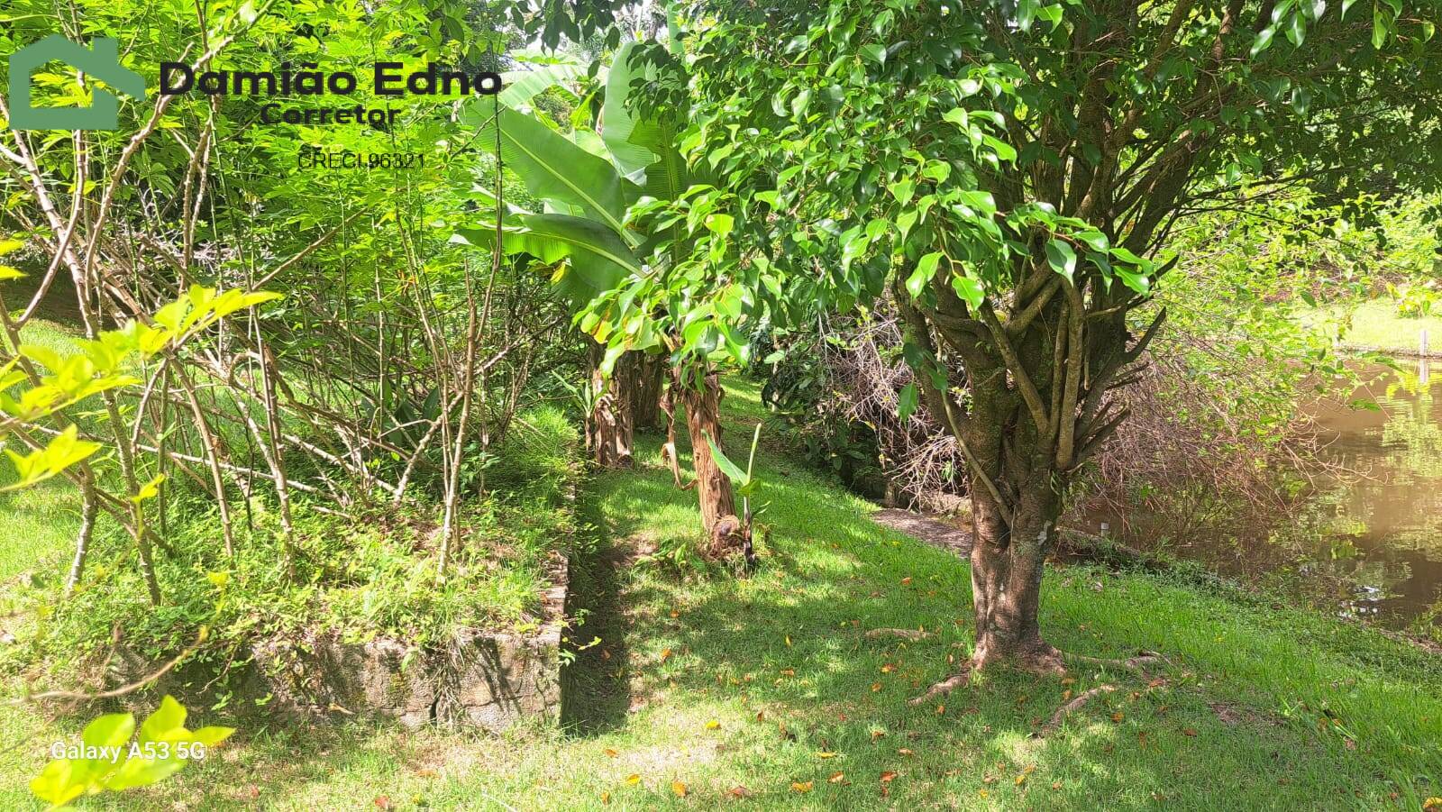 Chácara, 6 quartos - Foto 2