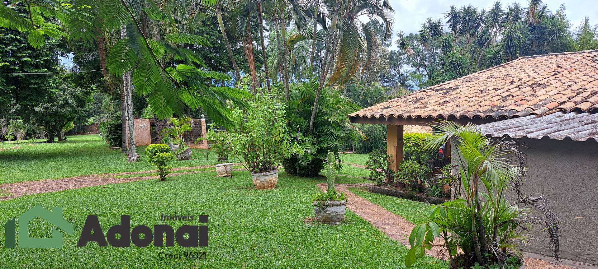 Chácara, 5 quartos, 5300 m² - Foto 3