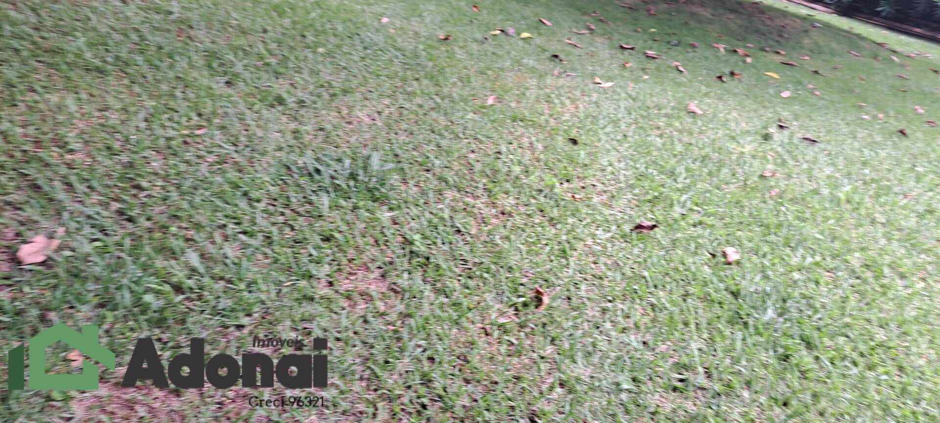 Chácara, 5 quartos, 5300 m² - Foto 8