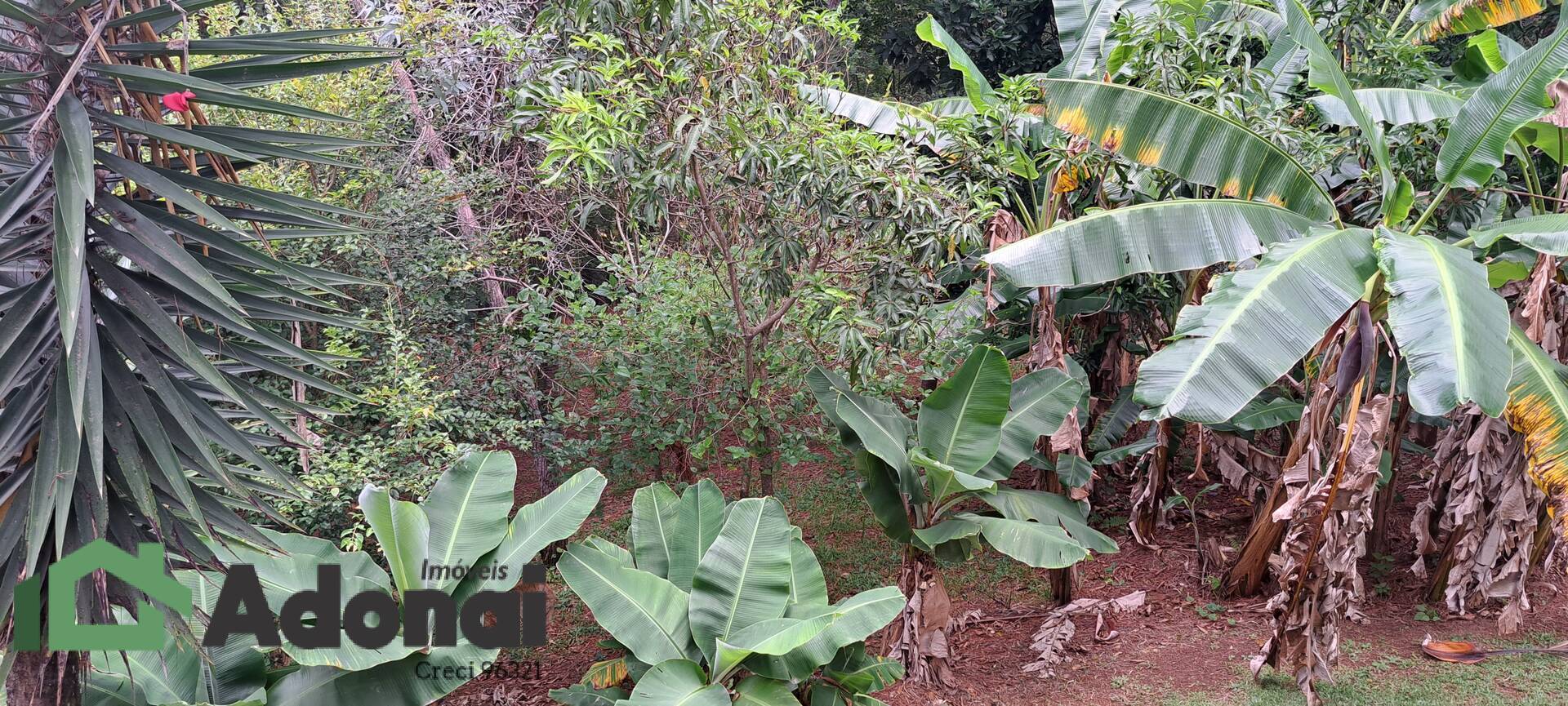 Chácara, 5 quartos, 5300 m² - Foto 17