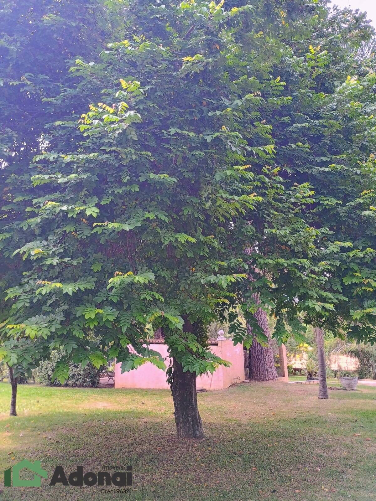 Chácara, 5 quartos, 5300 m² - Foto 43