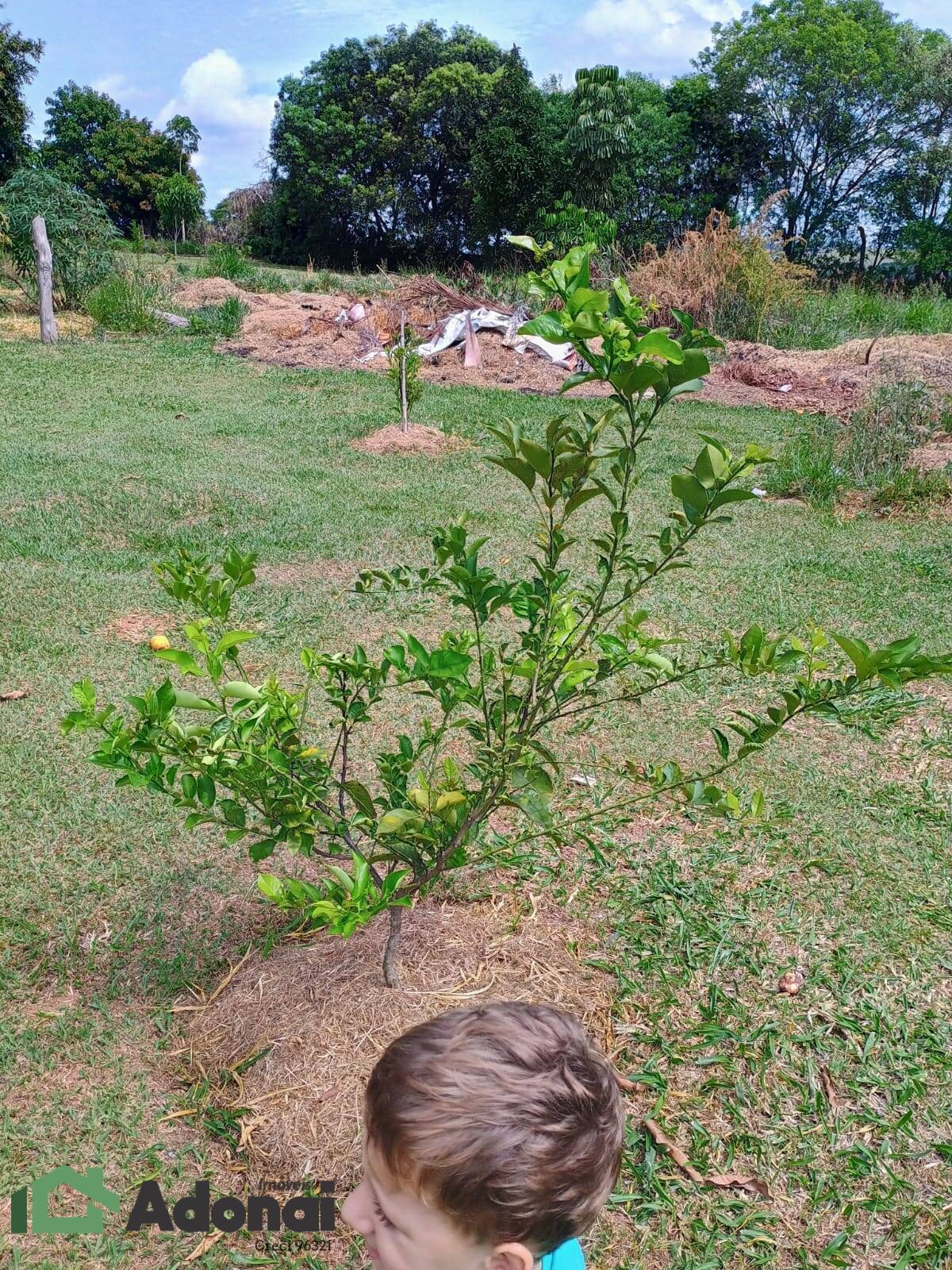 Chácara, 5 quartos, 5300 m² - Foto 47