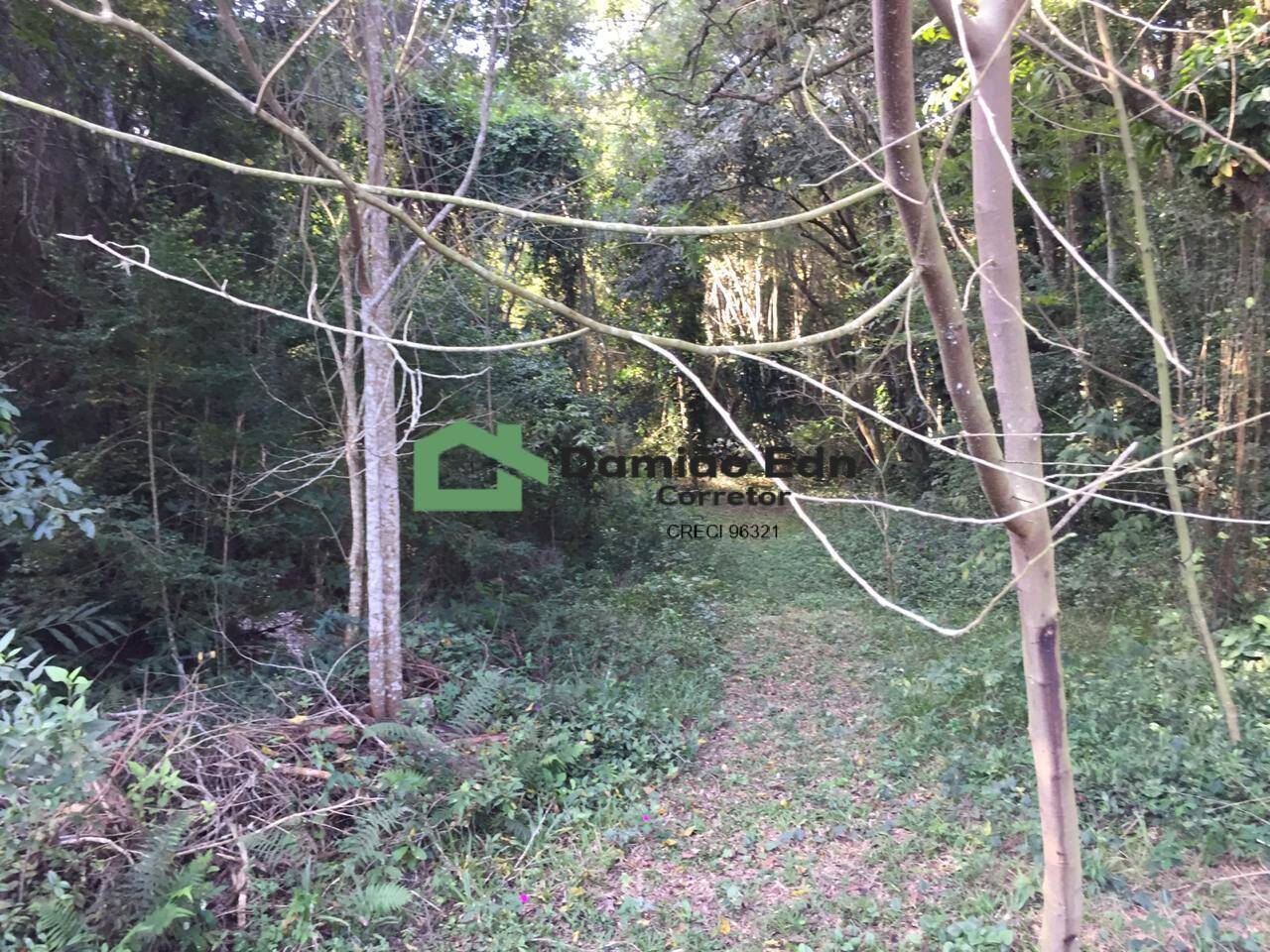 Terreno, 4140 m² - Foto 12