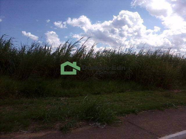Terreno, 2 hectares - Foto 16
