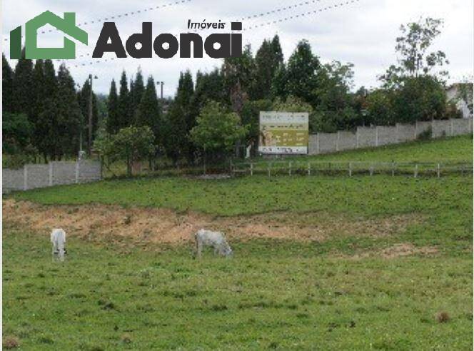 Terreno, 18 hectares - Foto 15